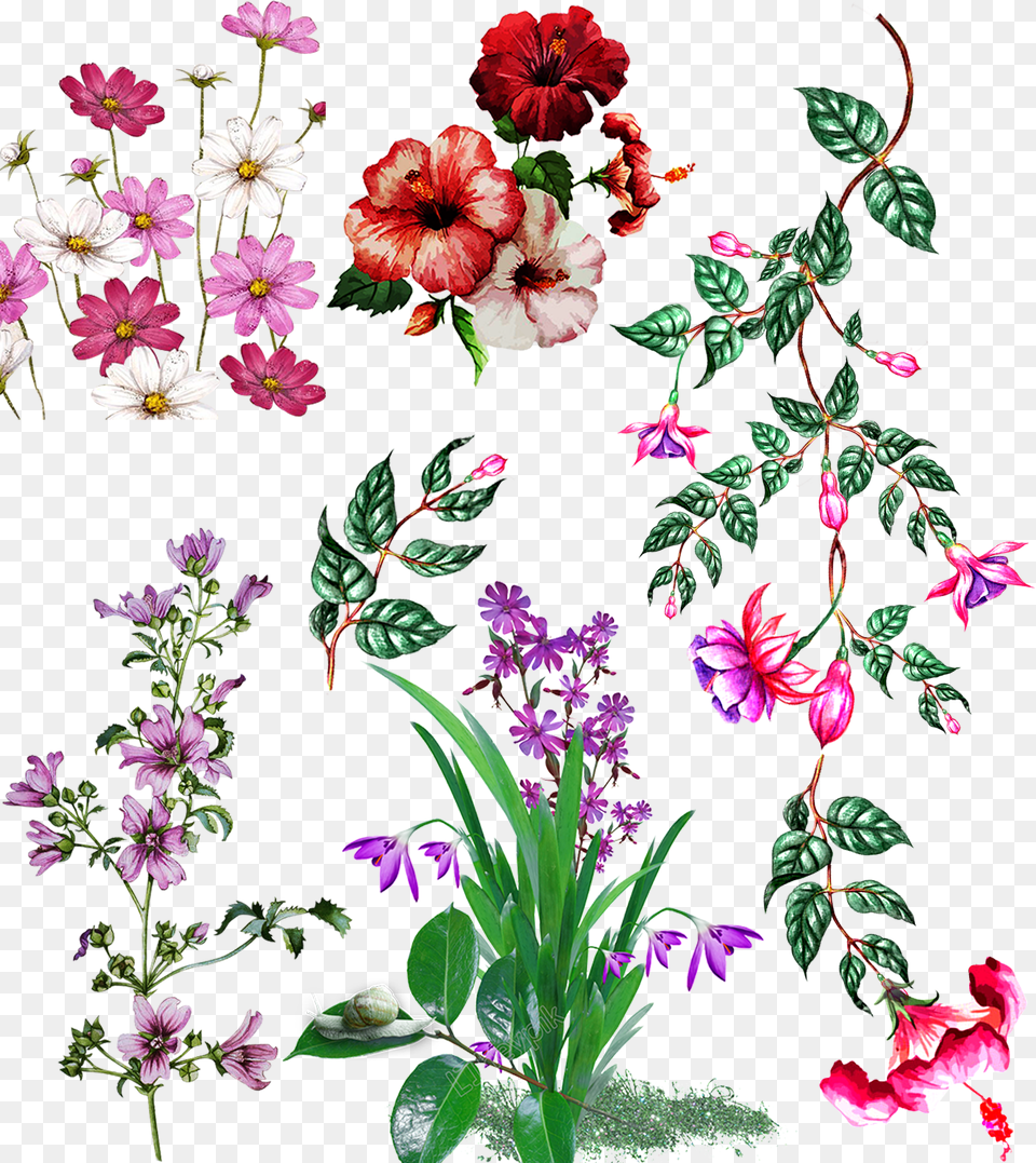 Design Flowers Photoshop Flower Textile Design, Art, Floral Design, Geranium, Graphics Png