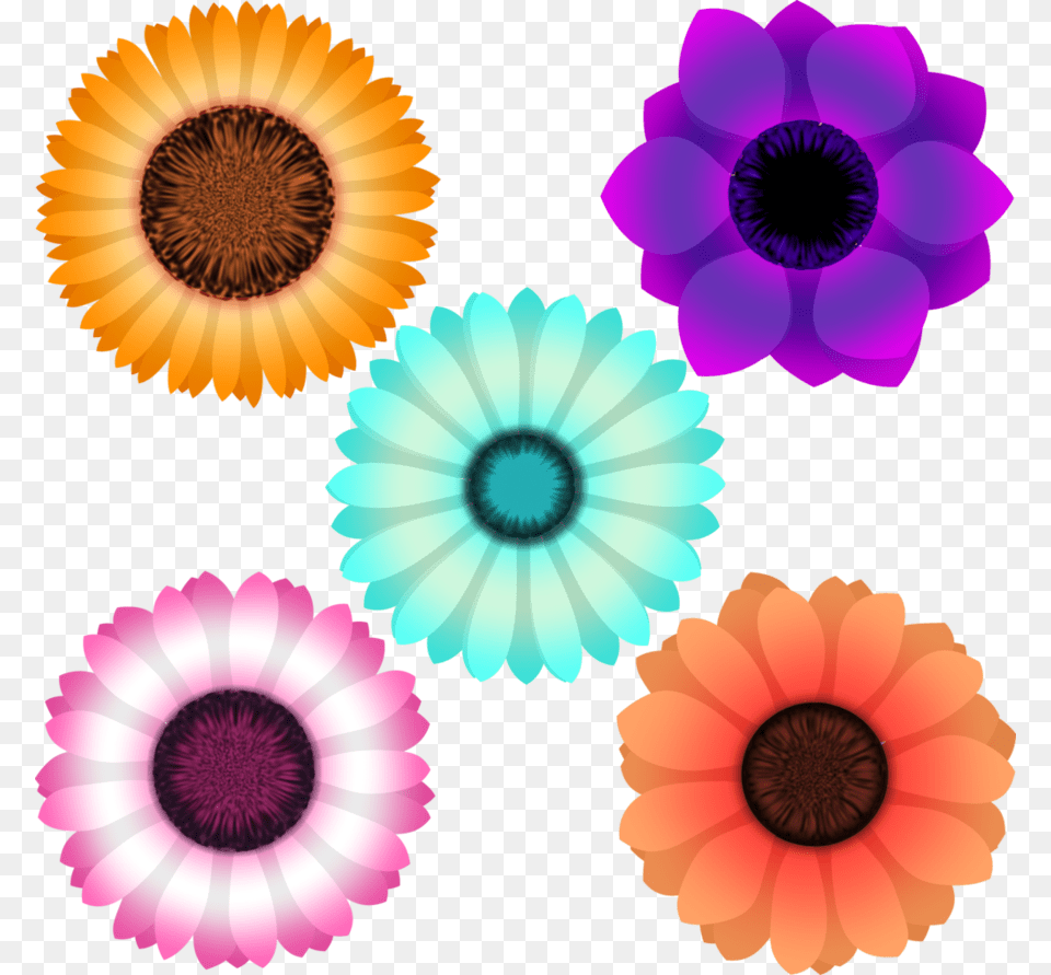 Design For Scrapbook Clipart, Anemone, Daisy, Flower, Petal Png