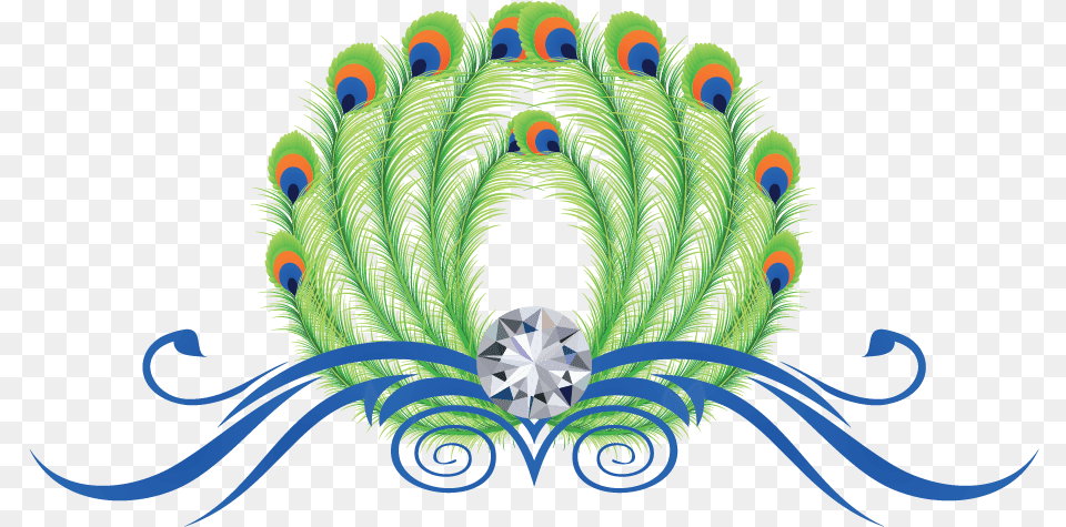 Design Feathers Online Template Hd Peacock Feather, Accessories, Plant, Jewelry Free Png Download