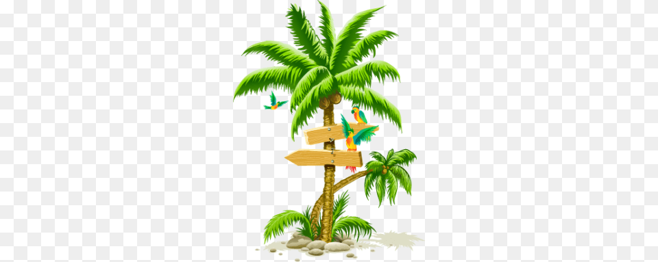 Design Ilustration Palm Tree, Nature, Outdoors, Plant, Rainforest Free Transparent Png