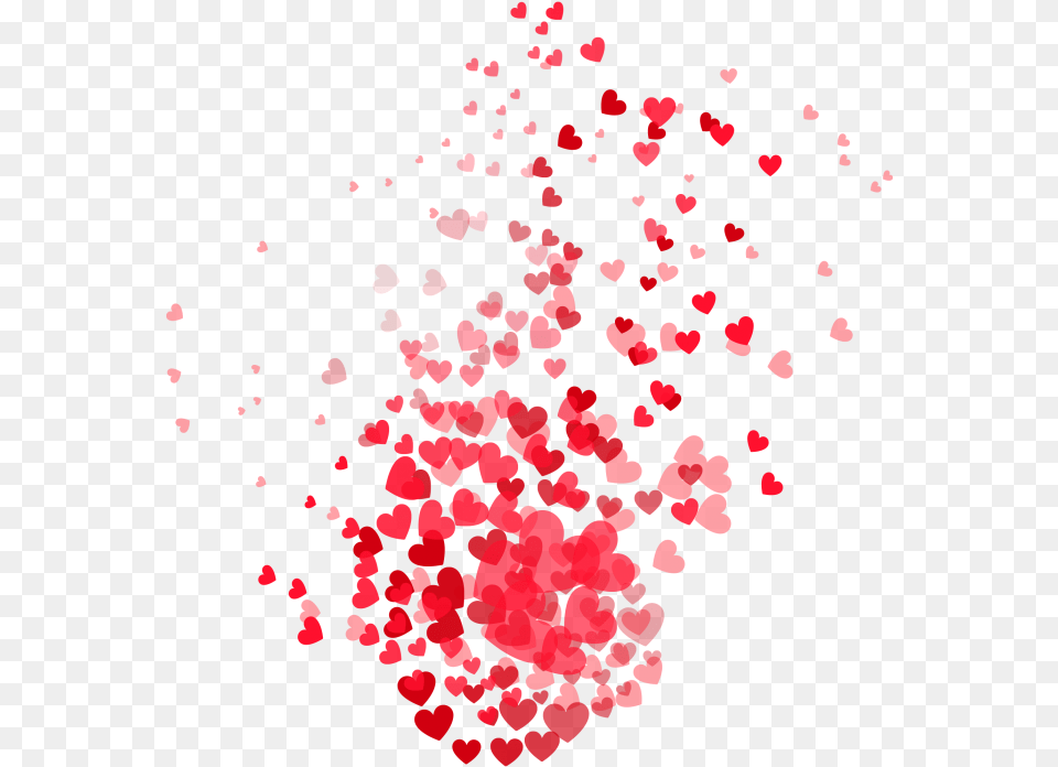 Design Invitation Posters, Flower, Petal, Plant, Paper Free Png