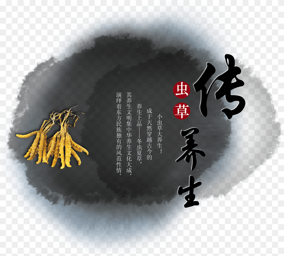 Design Of Chinese Medicine Art Word For Cordyceps Sinensis, Text Free Png