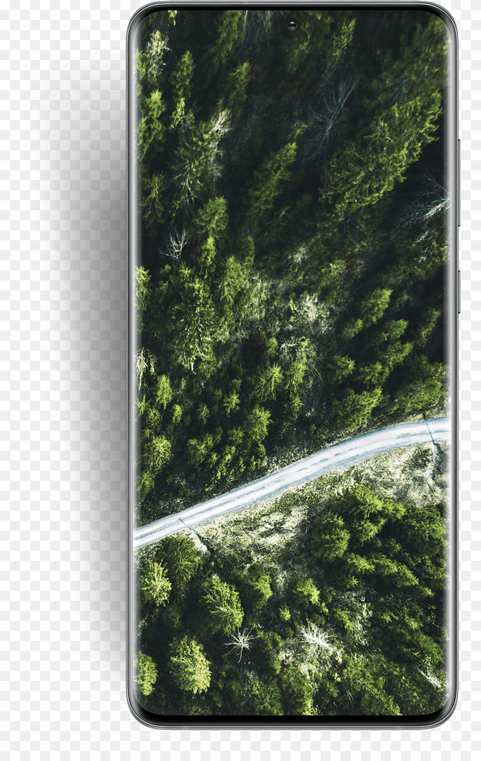 Design Samsung Galaxy S20 U0026 Ultra The Official Galaxy S20 Landscape, Woodland, Vegetation, Tree, Rainforest Png Image