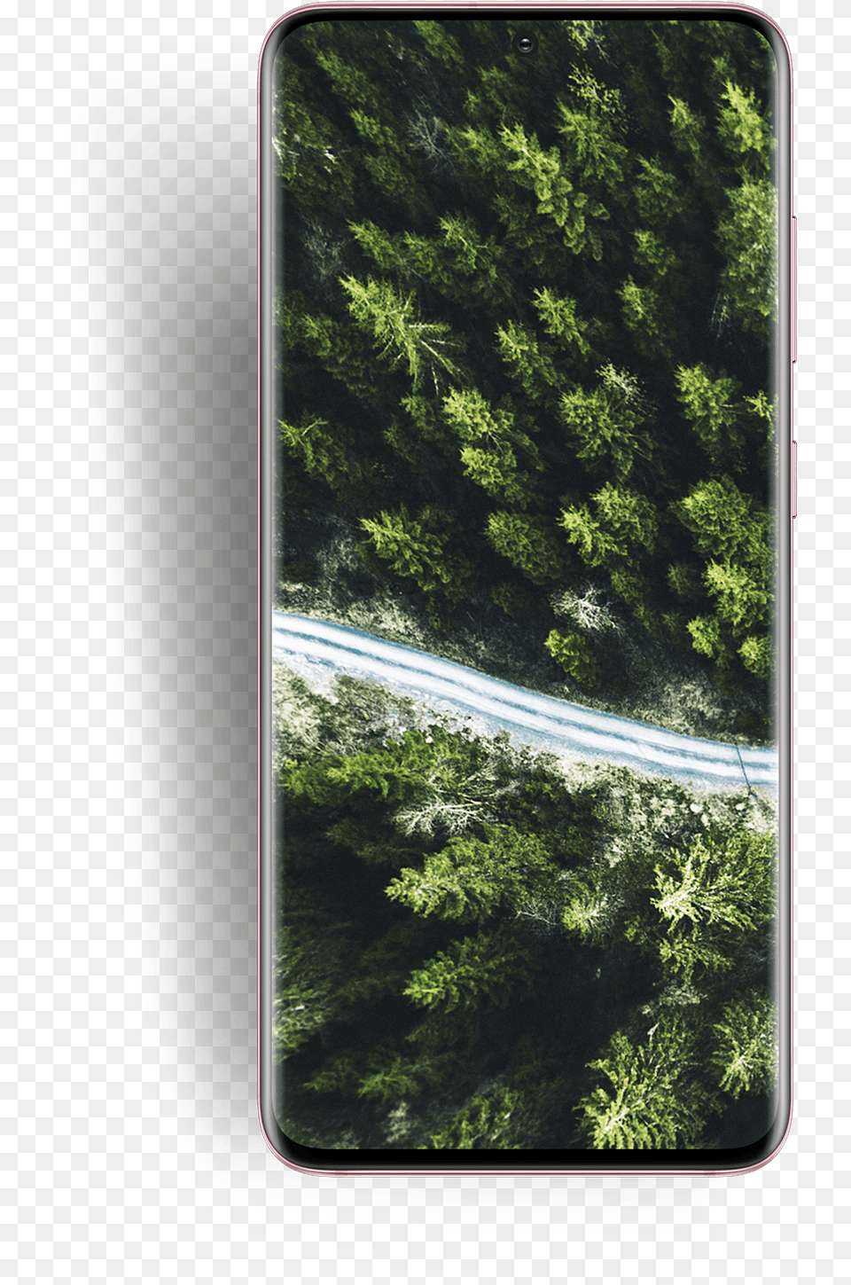Design Samsung Galaxy S20 U0026 Ultra The Official Samsung Galaxy S20, Woodland, Vegetation, Tree, Rainforest Free Png