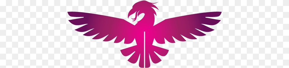 Design Templates, Baby, Person Free Transparent Png