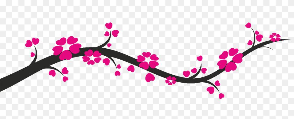 Design Transparent, Flower, Plant, Cherry Blossom, Dynamite Png Image