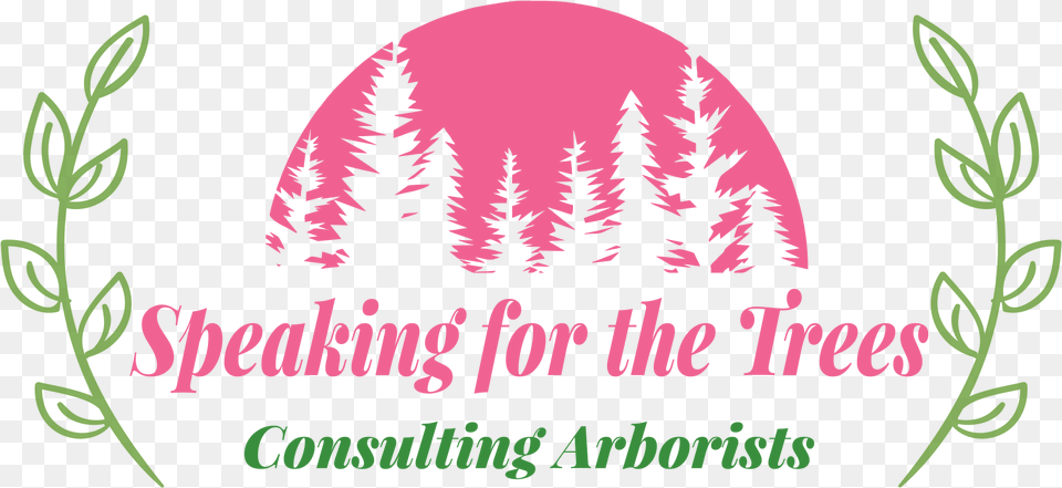 Design Tree Consultants Careers Karice My Lashes, Plant Free Transparent Png