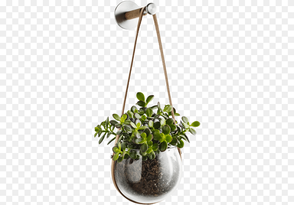 Design With Light Hanging Pot And Peg By Holmegaardquot Flower In A Flower Pot, Jar, Plant, Planter, Potted Plant Free Png