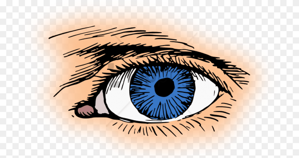Designcircle Clip Art Eyes Blue, Contact Lens, Person, Drawing Free Transparent Png