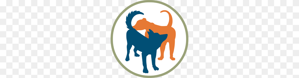 Designer Dog Collars Dog Beds Pet Supplies Muttropolis, Animal, Mammal, Pig, Canine Png