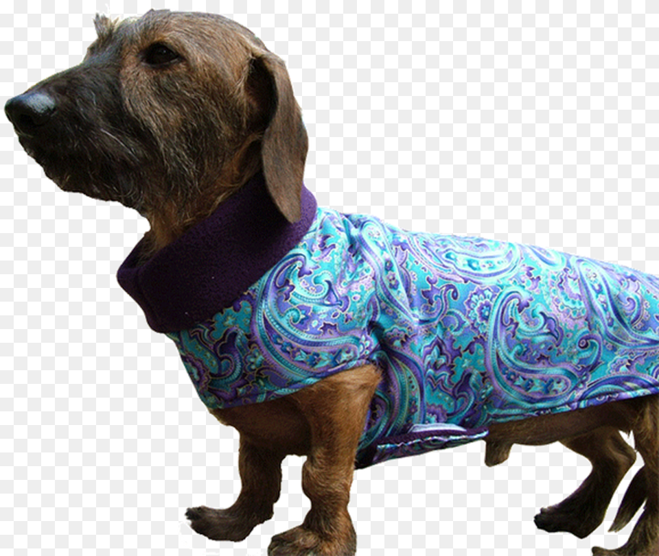 Designer Fabric Cuddler Dog Coat Alpine Dachsbracke, Animal, Canine, Clothing, Pet Free Transparent Png