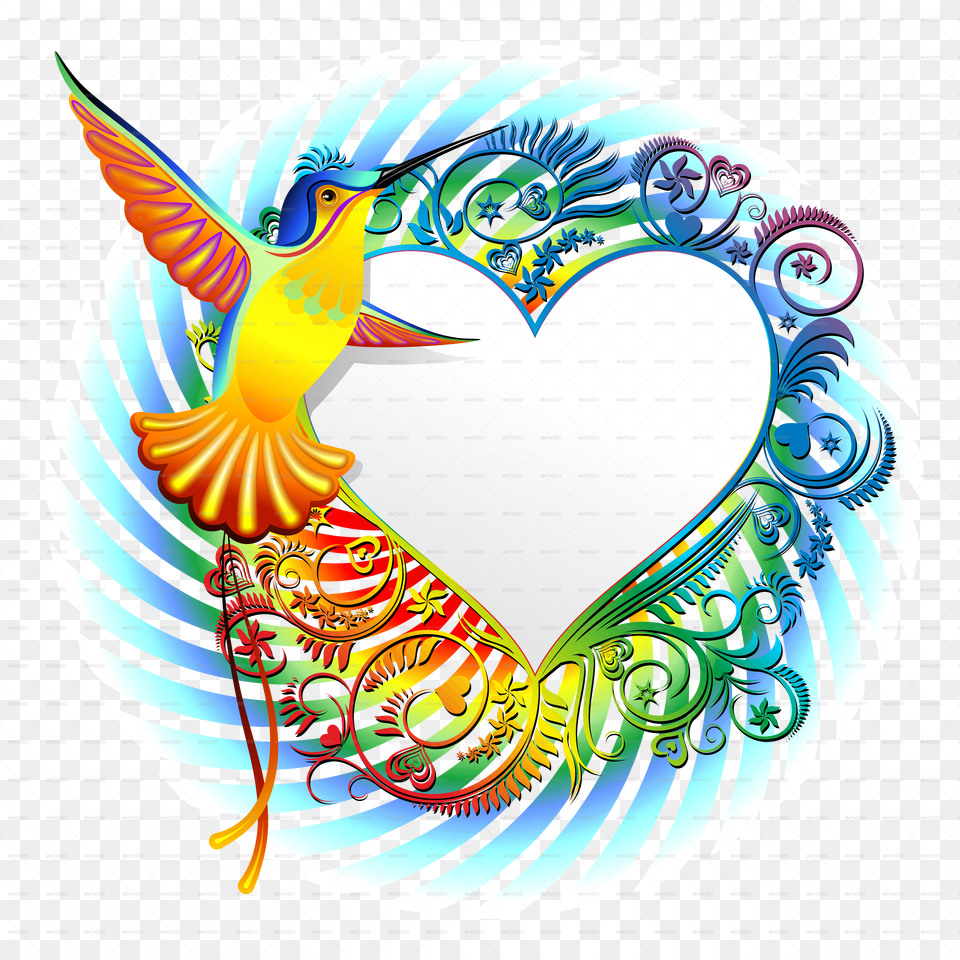 Designer Vector Colorful Design Colibri Vector Png Image