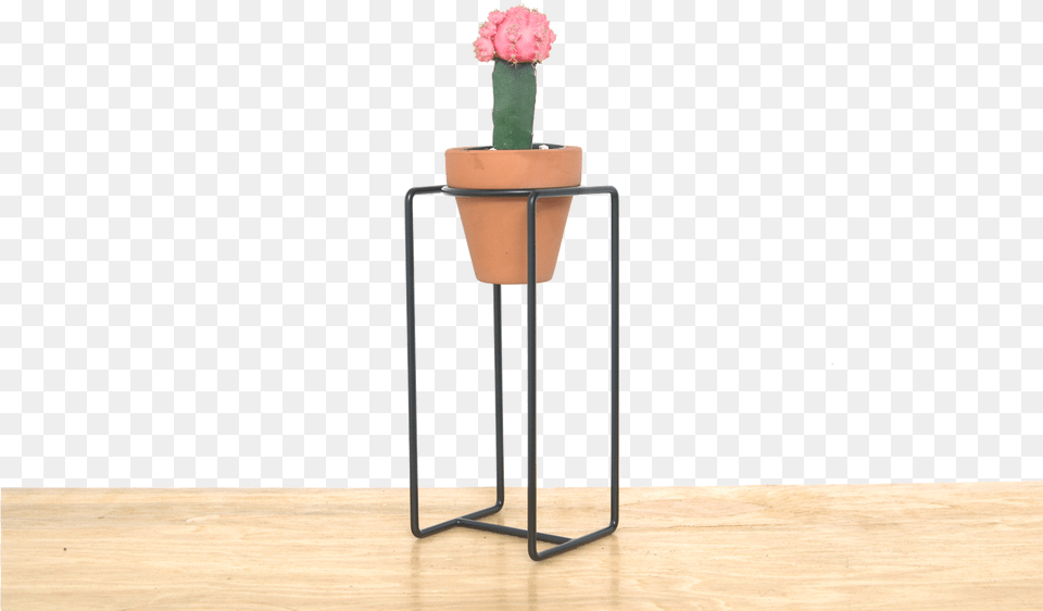 Desk Planter Small, Vase, Pottery, Potted Plant, Plant Free Transparent Png