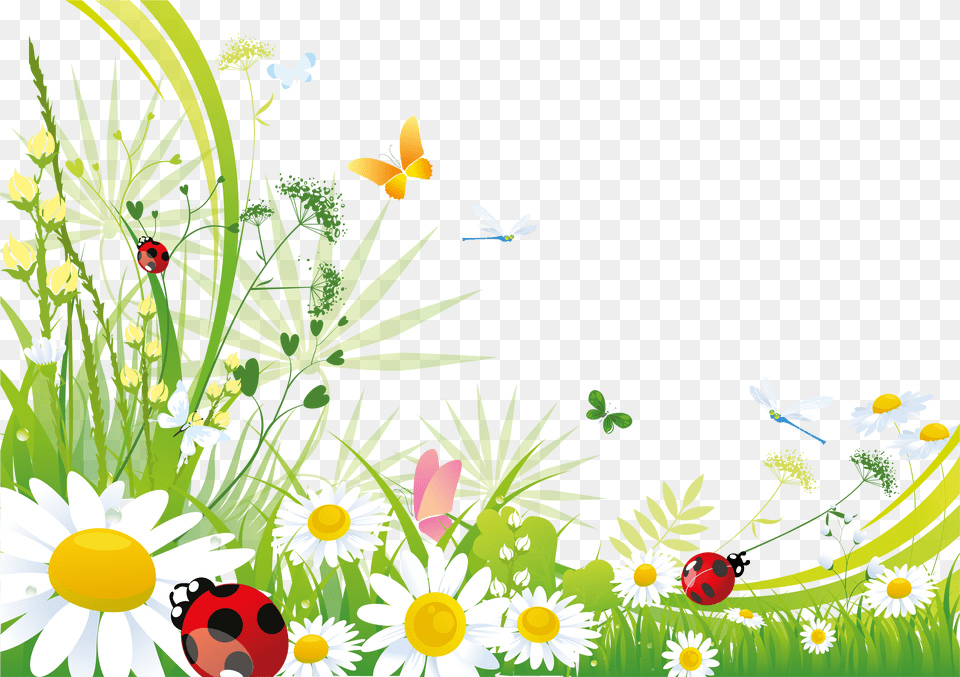Desktop Backgrounds Vector Graphics, Plant, Daisy, Flower, Pattern Free Transparent Png