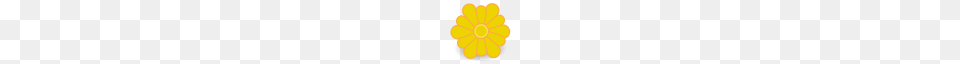 Desktop Icons, Plant, Daisy, Flower, Petal Png