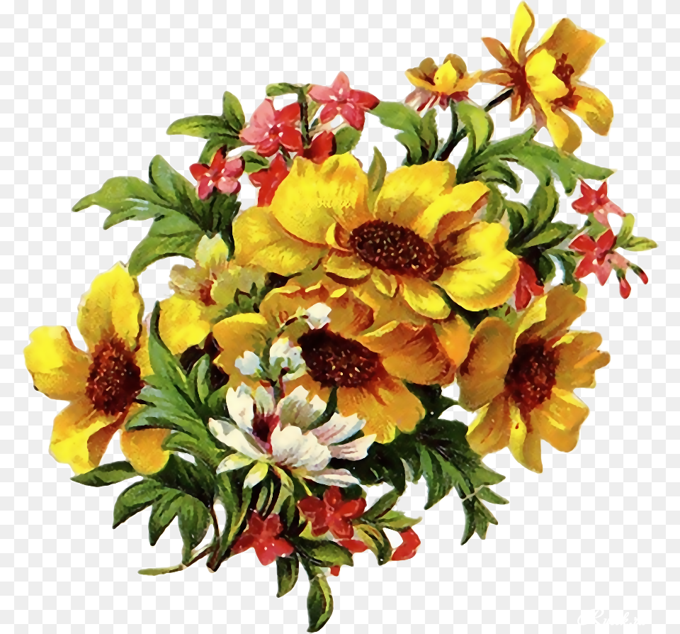 Desktop Nexus Vintage, Flower Bouquet, Plant, Pattern, Flower Png