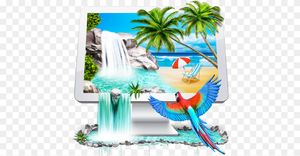 Desktop Vertical, Summer, Water, Animal, Bird Free Png Download