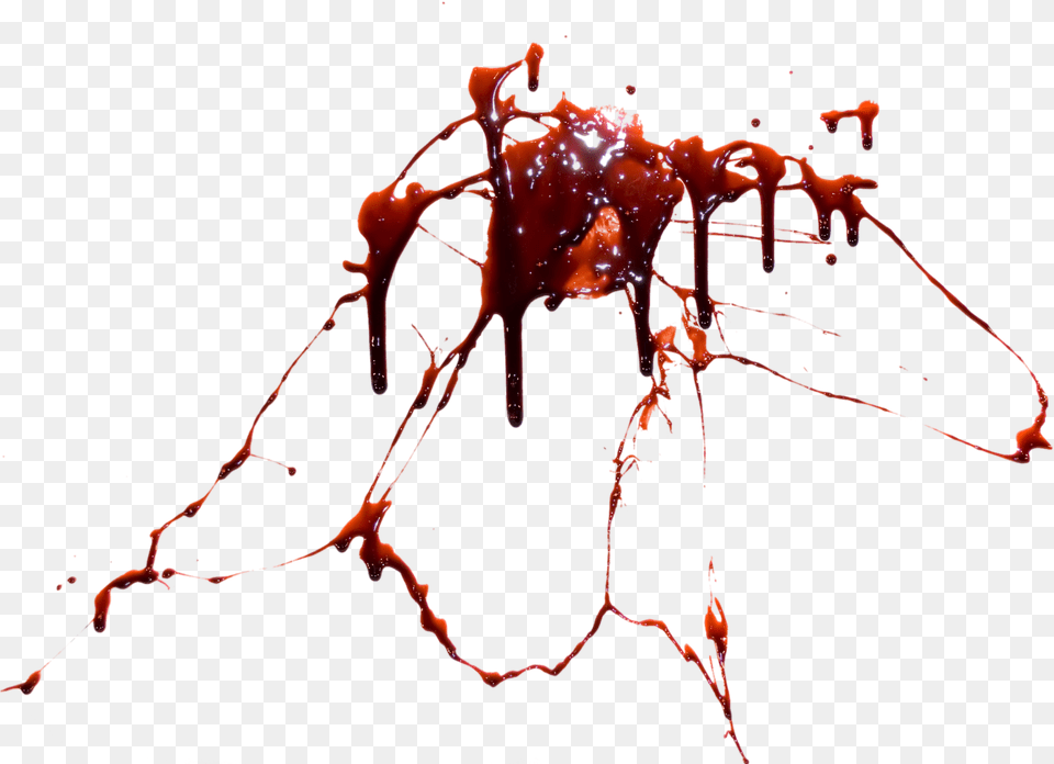 Desktop Wallpaper Blood Computer Icons Bloody Bullet Hole, Outdoors, Nature, Animal, Food Free Png Download