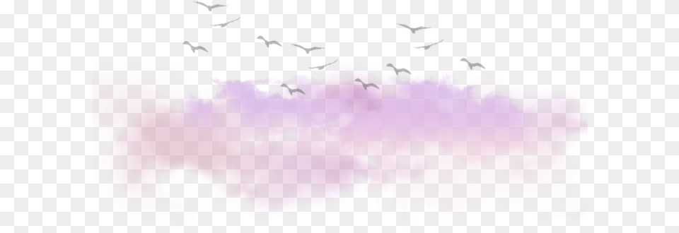 Desktop Wallpaper Pink M Computer Cloud Bird And Cloud, Purple Free Png Download