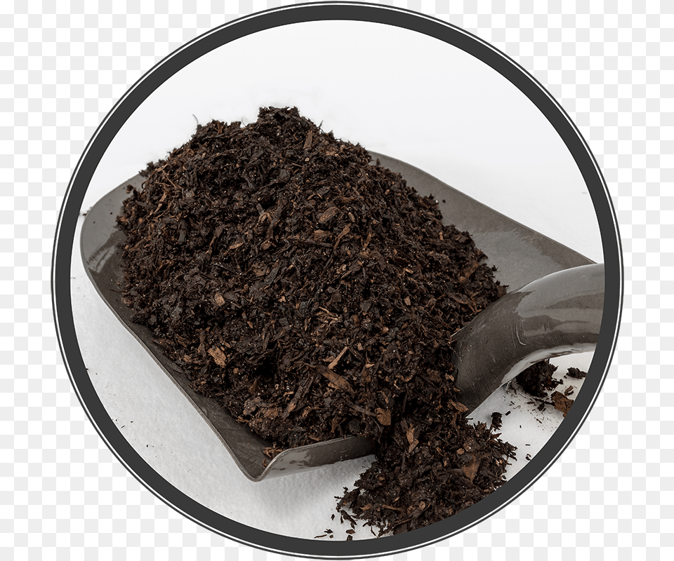 Dessert, Soil, Tobacco, Plant Png