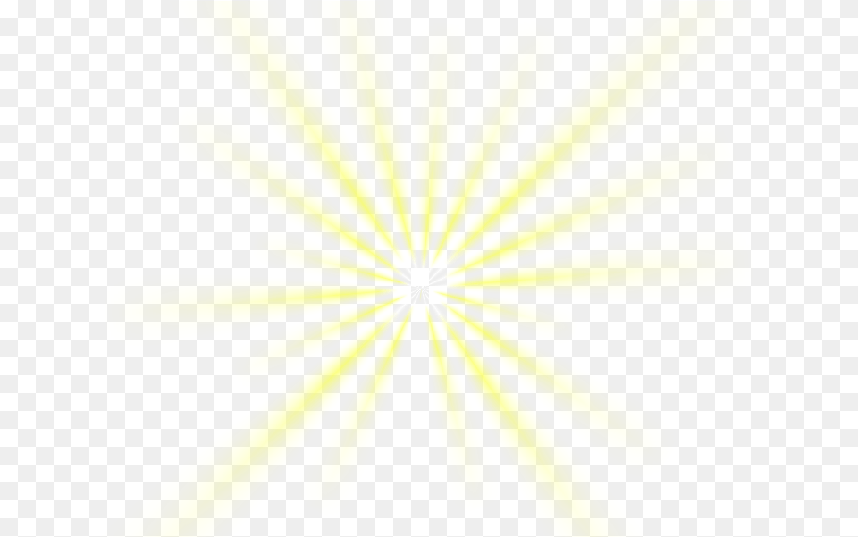 Destellos Efectos Luminosos Circle, Daisy, Flower, Light, Plant Free Png Download