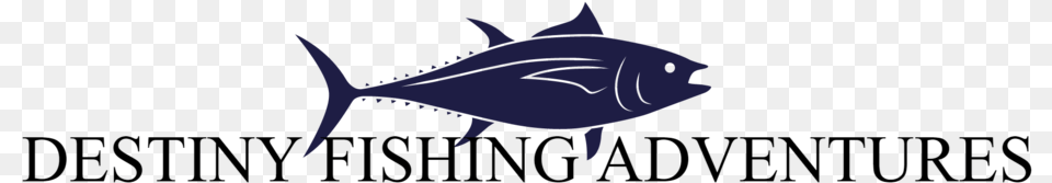 Destiny, Animal, Fish, Sea Life, Tuna Png Image