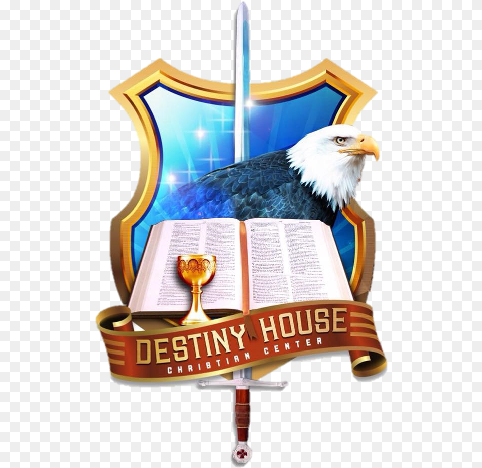 Destiny House Christian Center Bald Eagle, Animal, Bird, Publication Free Transparent Png
