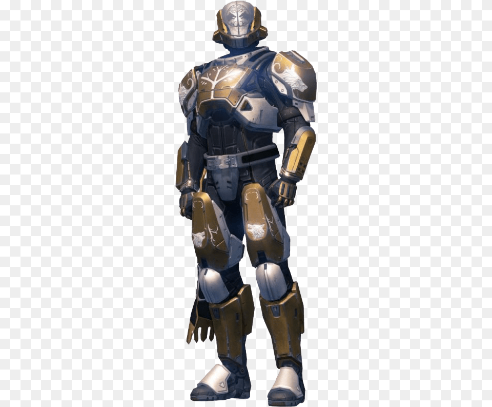 Destiny Picture Destiny Iron Banner Warlock Set, Armor, Adult, Male, Man Free Transparent Png
