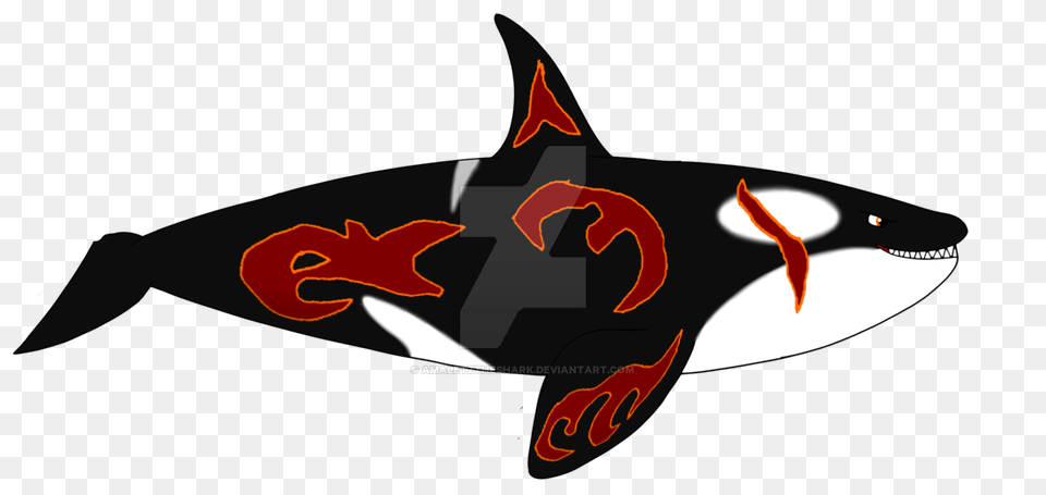 Destiny Sharks Characters Kyle Wales, Animal, Sea Life Free Transparent Png