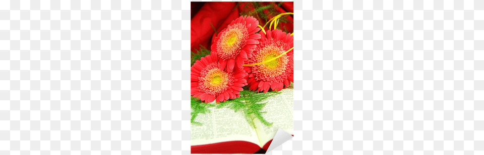 Detail Of Red Flowers And Open Bible Sticker Pixers Bible, Flower Bouquet, Daisy, Plant, Flower Arrangement Png