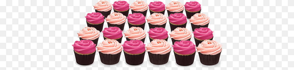 Detail Photo Of Pink Roses Rose, Cake, Cream, Cupcake, Dessert Free Png