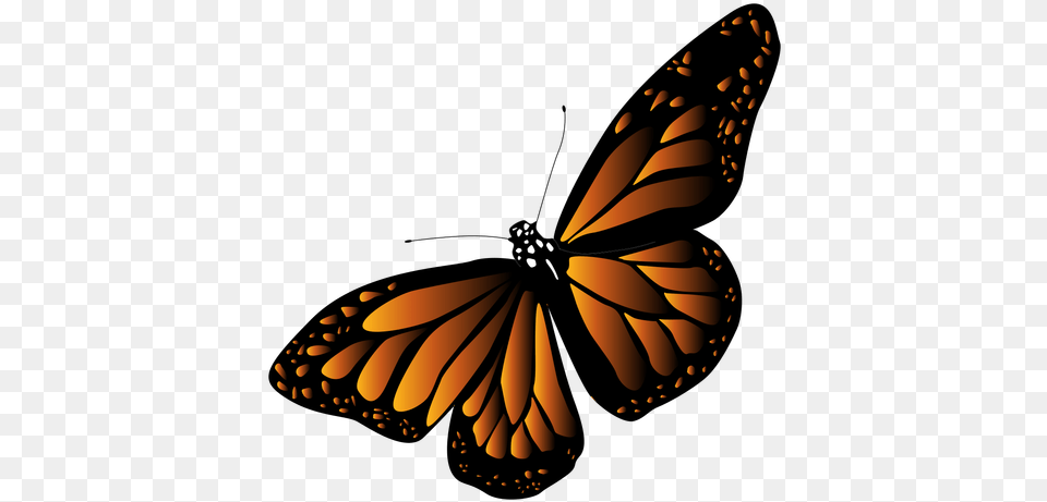 Detailed Black Orange Butterfly Vector Transparent Orange Black Butterfly, Animal, Insect, Invertebrate, Monarch Free Png Download