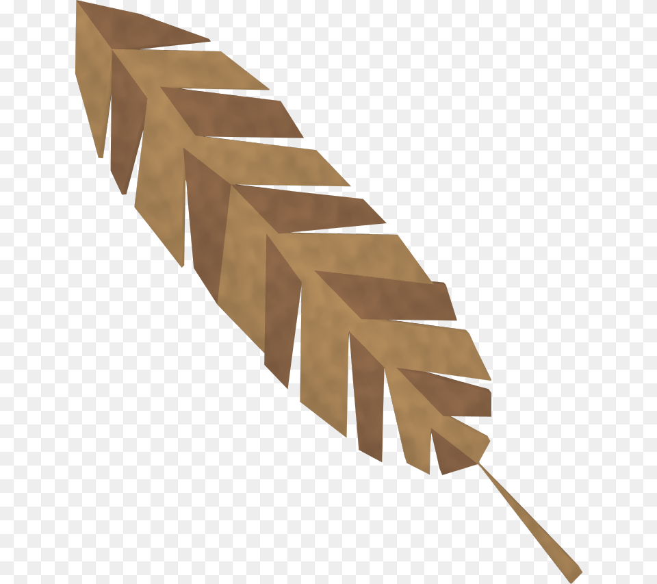 Detailed Bronze Feather, Leaf, Plant, Reed Free Transparent Png