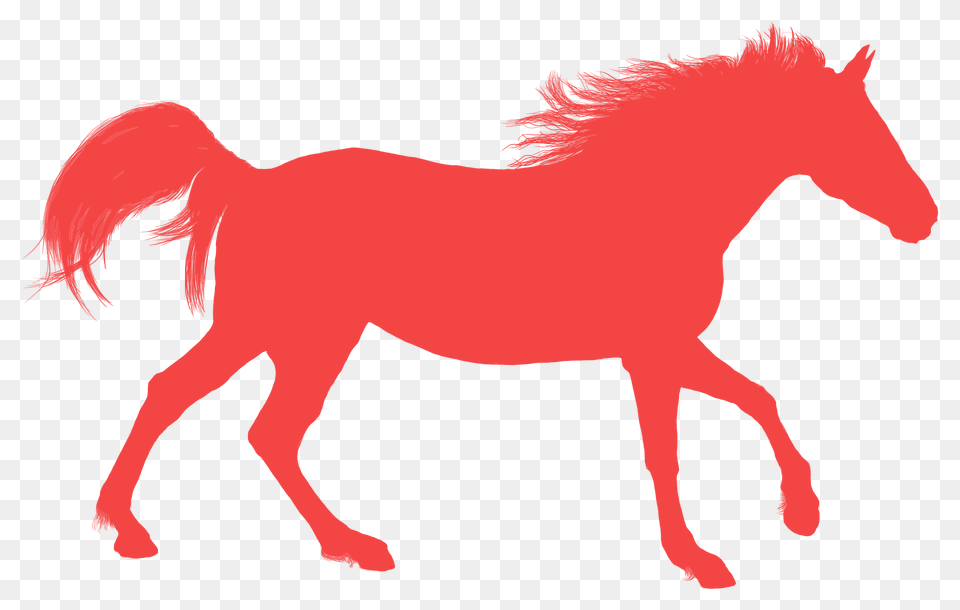 Detailed Horse Silhouette, Animal, Colt Horse, Mammal Png