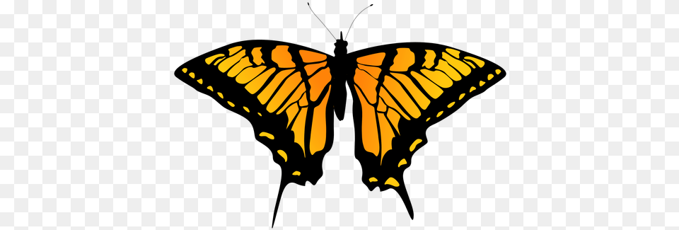 Detailed Orange Butterfly Design Transparent U0026 Svg Butterfly Outline Design, Animal, Insect, Invertebrate, Monarch Free Png