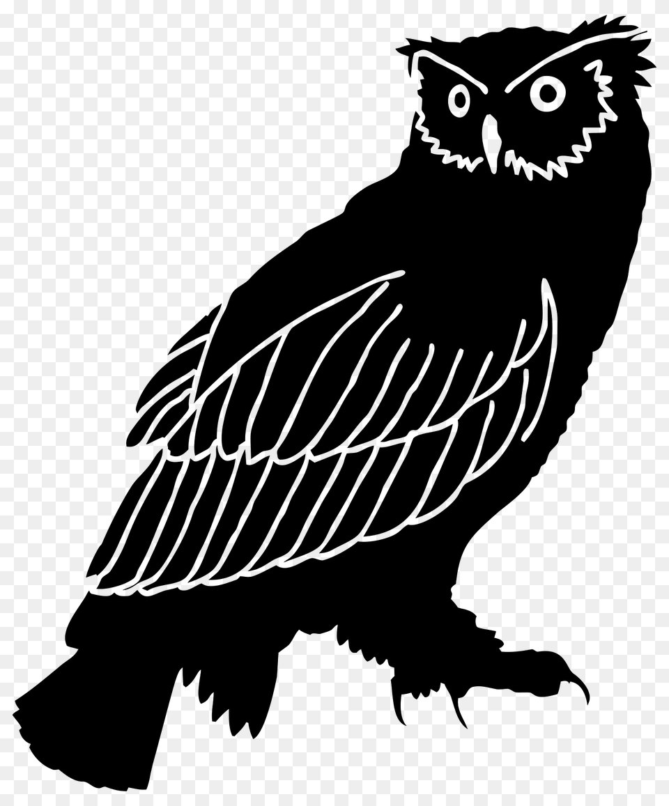 Detailed Owl Clipart, Animal, Bird Free Png Download