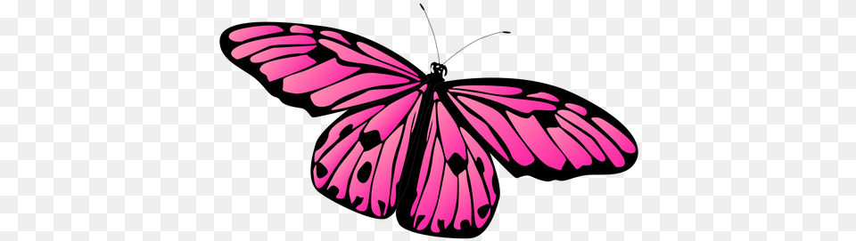 Detailed Pink Butterfly Vector Pink Butterfly Transparent, Purple, Animal, Flying, Bird Png Image