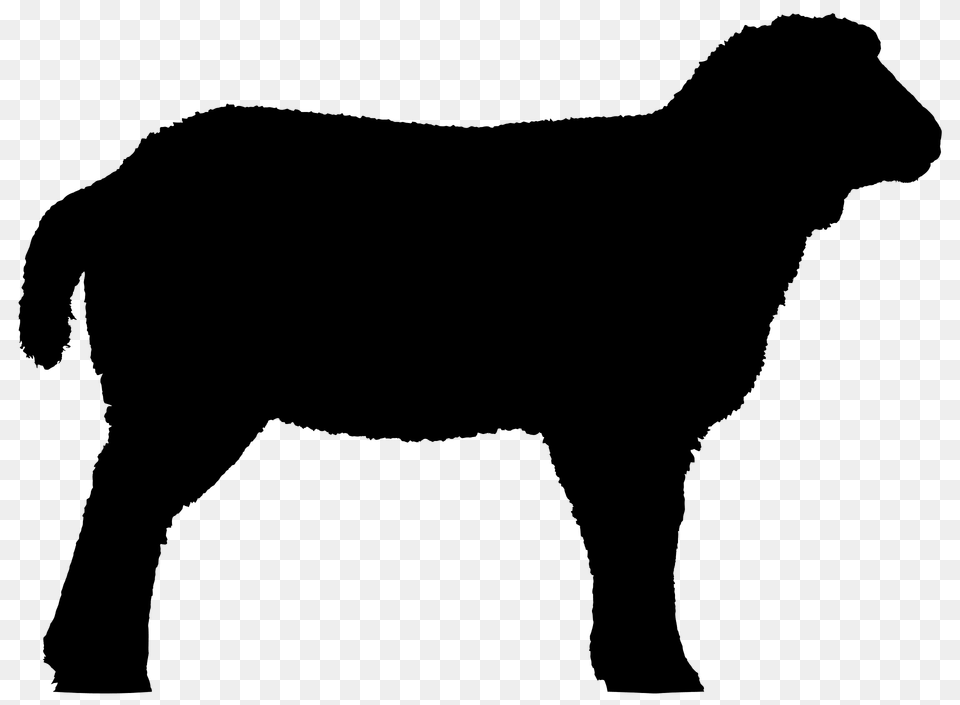 Detailed Sheep Silhouette, Animal, Mammal, Person, Livestock Free Png