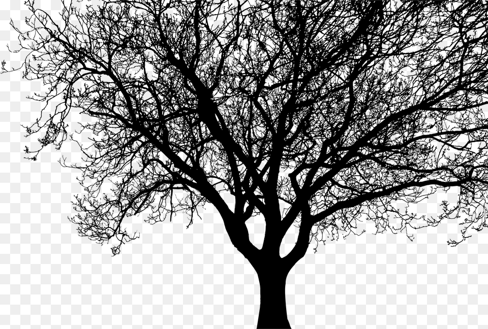 Detailed Tree Silhouette Clip Arts, Gray Free Transparent Png