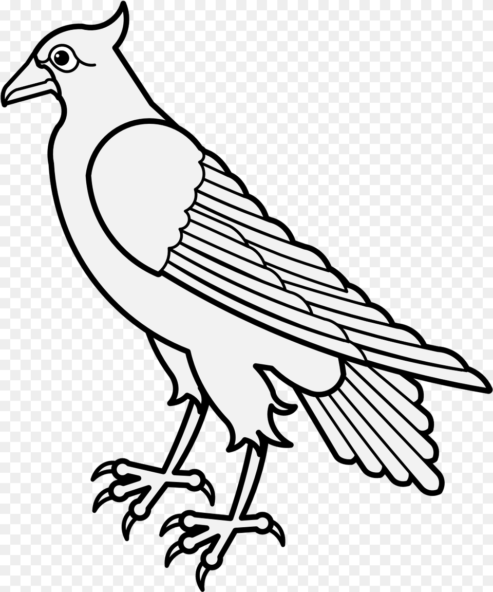 Details Clip Art, Stencil, Animal, Bird Free Transparent Png