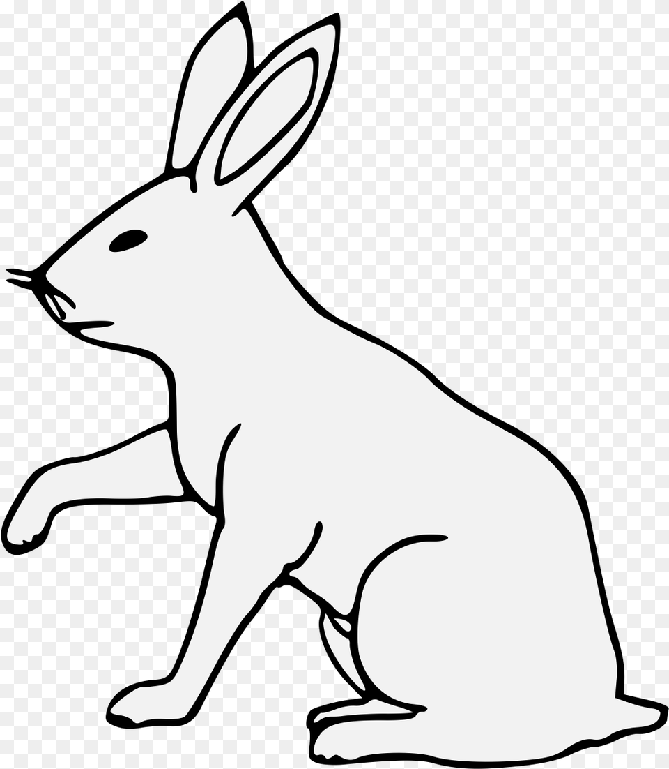 Details Domestic Rabbit, Animal, Mammal, Kangaroo, Rodent Free Png Download