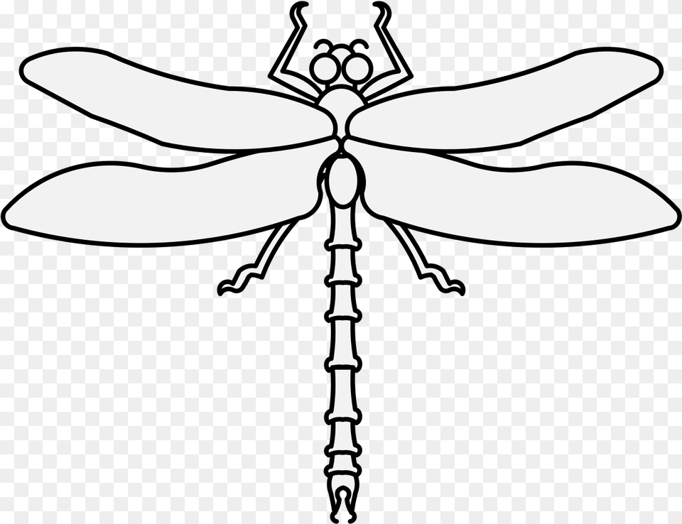 Details Dragonfly, Invertebrate, Animal, Insect, Knife Free Png Download
