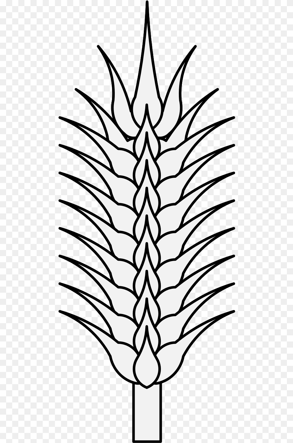 Details Drawing, Plant, Stencil, Symbol Free Png