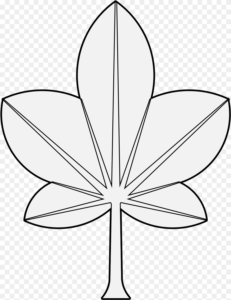 Details Flower, Leaf, Plant, Stencil, Animal Free Png