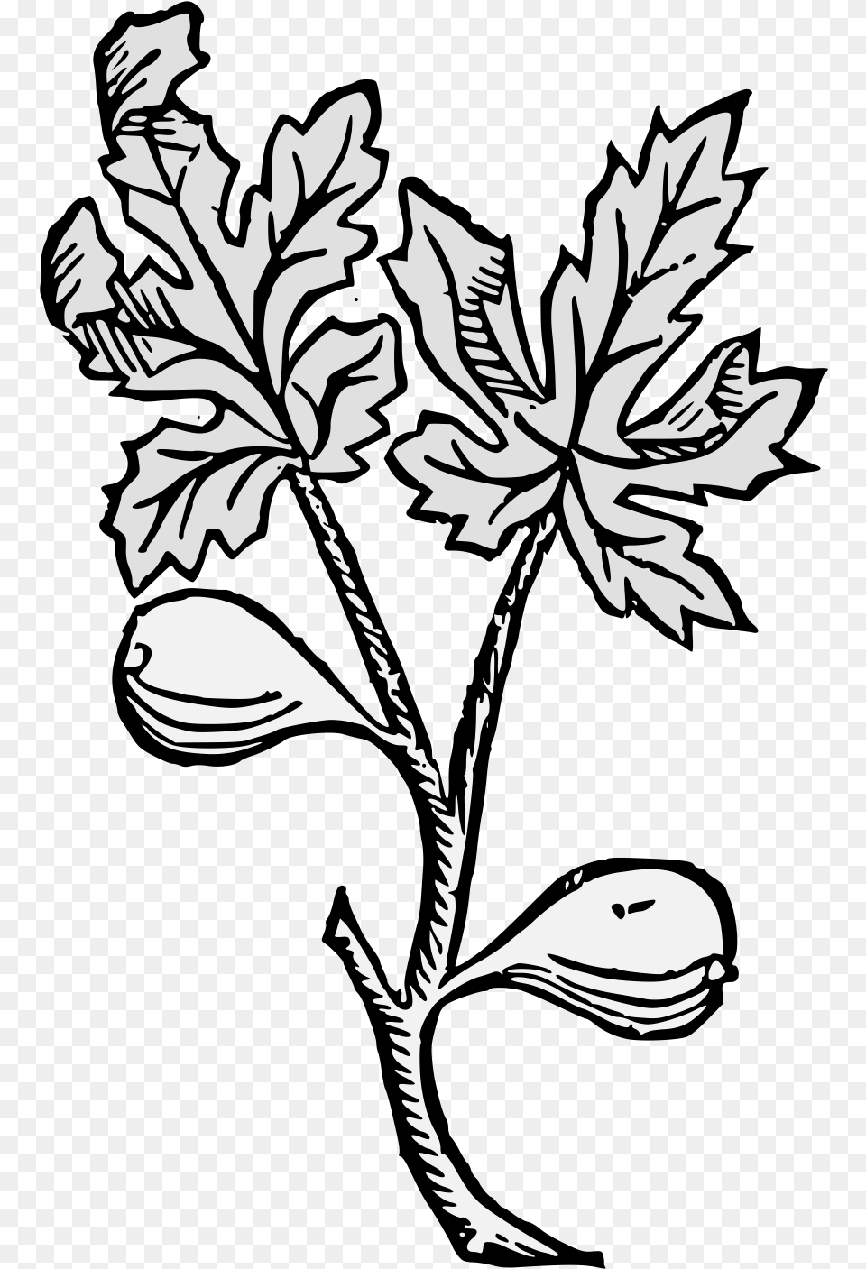 Details Line Art, Stencil, Plant, Leaf, Person Png