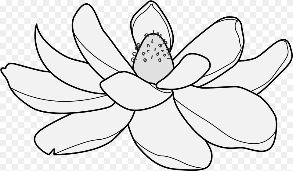 Details Lotus, Plant, Flower, Anther, Dahlia Free Transparent Png