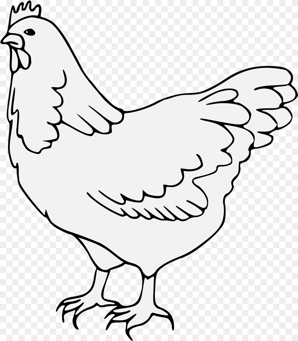 Details Rooster, Animal, Bird, Chicken, Fowl Free Png