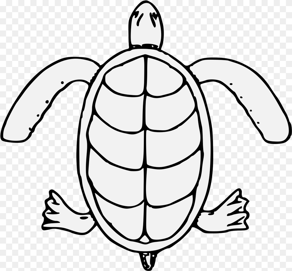 Details Sea Turtle, Stencil, Animal, Reptile, Sea Life Free Transparent Png