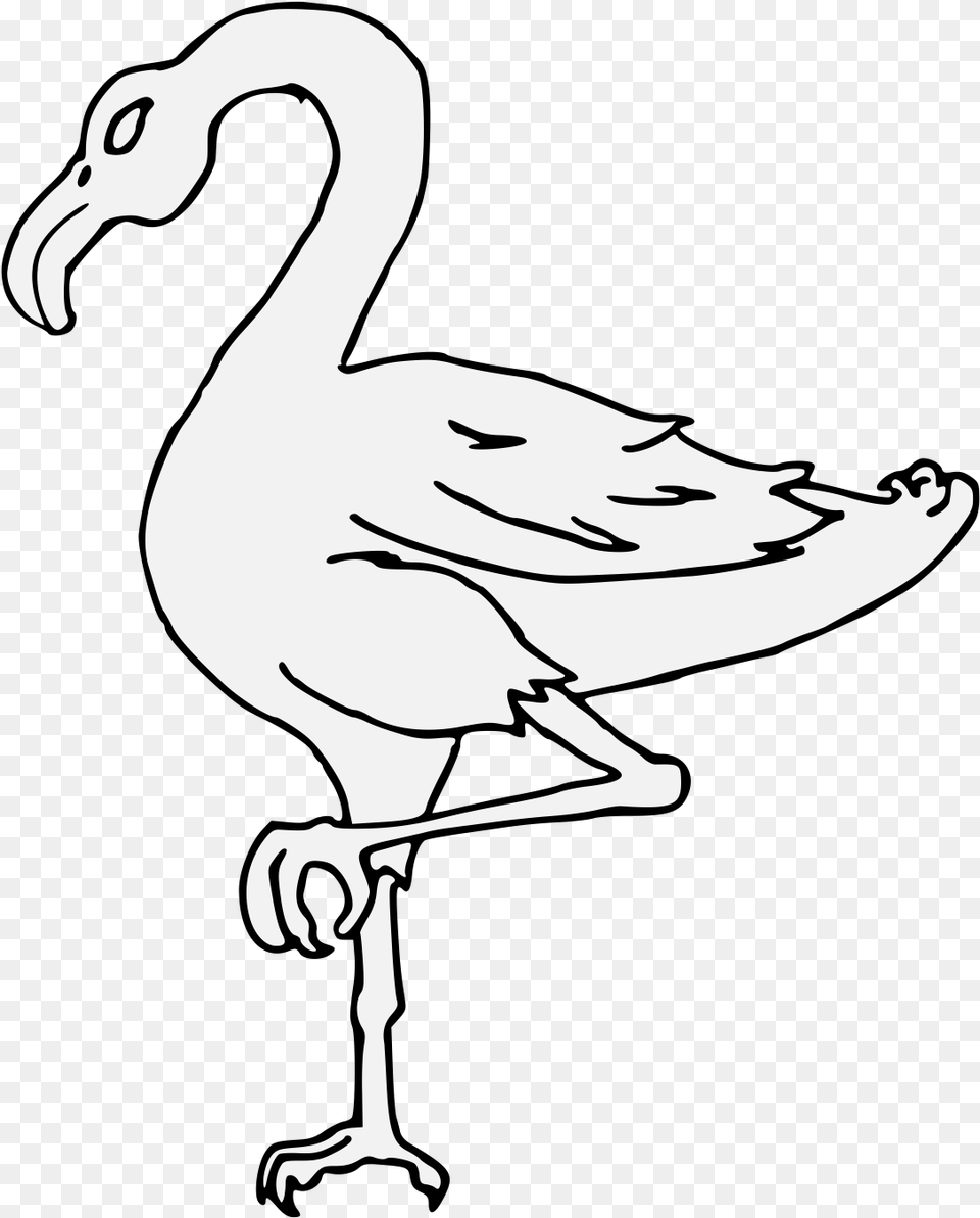 Details Traceable Image Of Flamingo, Stencil, Person, Animal, Bird Free Png