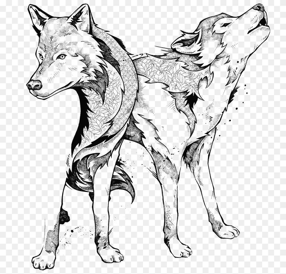 Details Unreleased Amp Rejected Drawings, Animal, Mammal, Wolf, Art Png Image